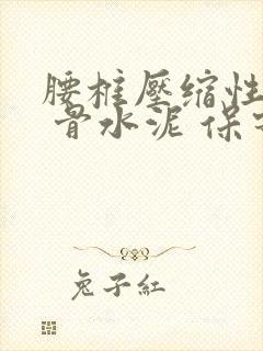 腰椎压缩性骨折 骨水泥 保守治疗