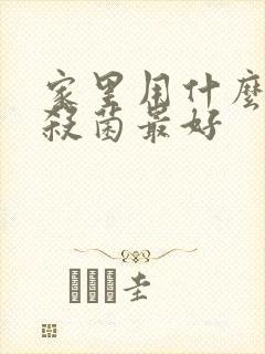 家里用什么消毒杀菌最好