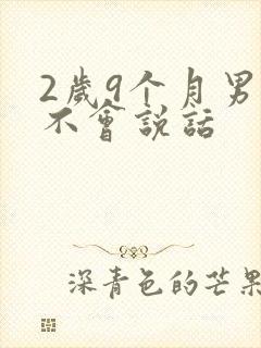 2岁9个月男宝不会说话