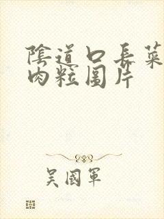 阴道口长菜花状肉粒图片