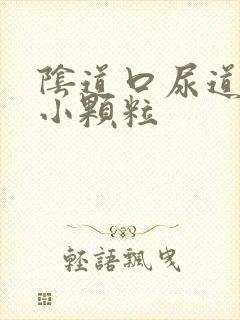 阴道口尿道口长小颗粒