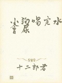 小狗喝完水多久会尿