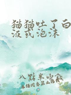 猫猫吐了白色黏液或泡沫