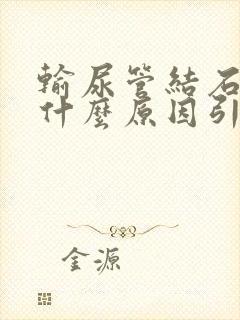 输尿管结石是由什么原因引起的