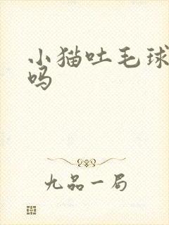 小猫吐毛球正常吗