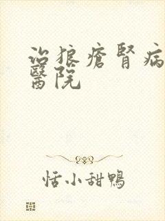 治狼疮肾病的好医院