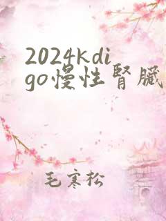 2024kdigo慢性肾脏病指南