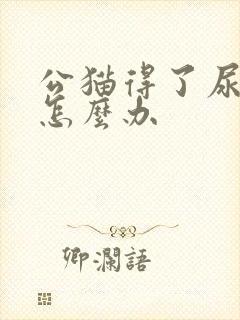 公猫得了尿结石怎么办