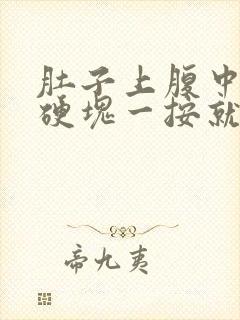 肚子上腹中间有硬块一按就疼