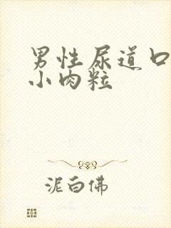 男性尿道口里有小肉粒