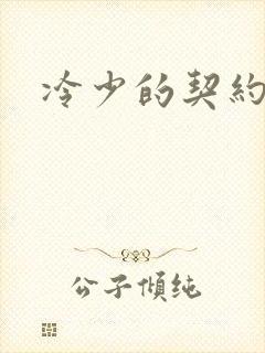 冷少的契约囚奴