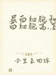 尿白细胞和镜检白细胞高,怎么回事