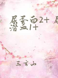 尿蛋白2+ 尿潜血1+