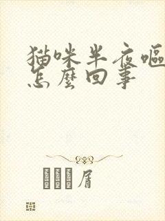 猫咪半夜呕吐是怎么回事