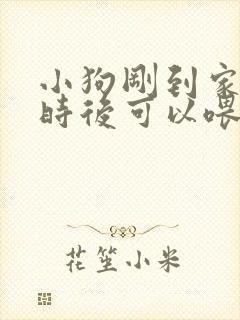 小狗刚到家几小时后可以喂