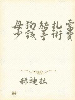 母狗结扎需要多少钱手术费