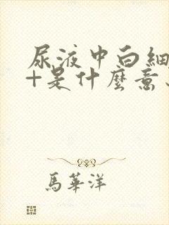 尿液中白细胞1+是什么意思