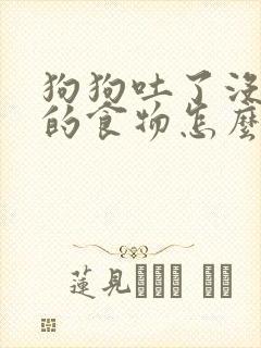 狗狗吐了没消化的食物怎么办