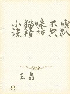 小猫咪不吃不喝没精神只趴着怎么办