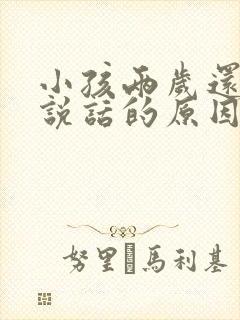 小孩两岁还不会说话的原因