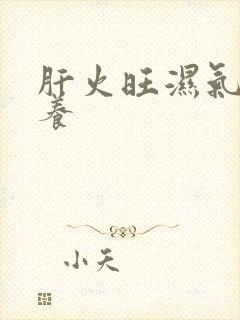 肝火旺湿气重调养