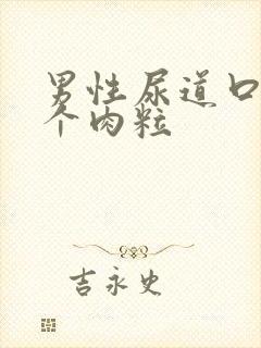 男性尿道口长两个肉粒