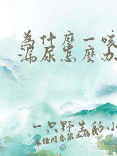 为什么一咳嗽就漏尿怎么办