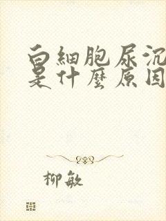 白细胞尿沉渣高是什么原因