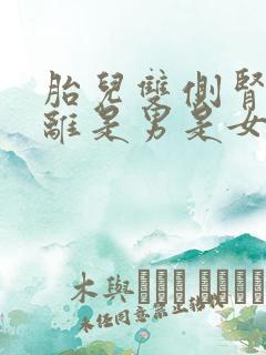 胎儿双侧肾盂分离是男是女