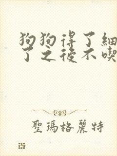 狗狗得了细小好了之后不吃东西怎么办