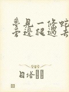 梦见一条蛇从我旁边爬过去了