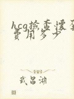 hcg检查怀孕费用多少