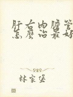 肝右内胆管结石怎么治最好