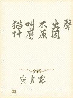 猫叫不出声音是什么原因