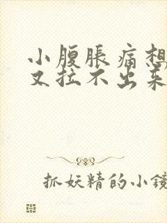 小腹胀痛想大便又拉不出来