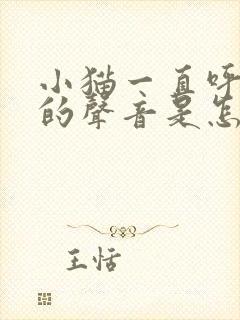 小猫一直呼呼呼的声音是怎么回事