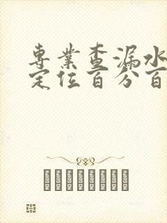 专业查漏水精准定位百分百准确