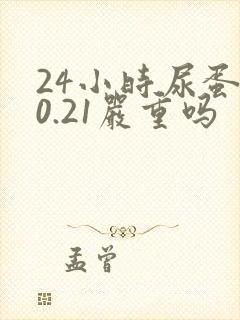 24小时尿蛋白0.21严重吗