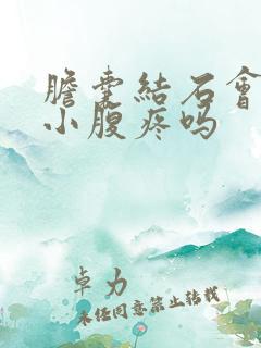 胆囊结石会引起小腹疼吗