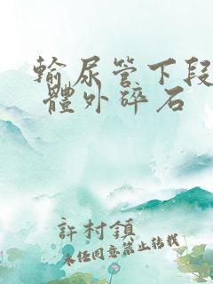 输尿管下段结石 体外碎石