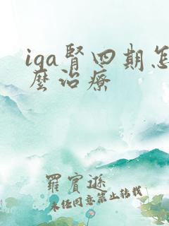 iga肾四期怎么治疗