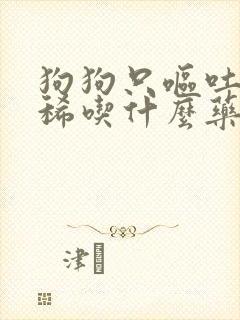 狗狗只呕吐不拉稀吃什么药