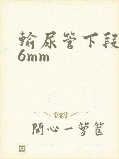 输尿管下段结石6mm