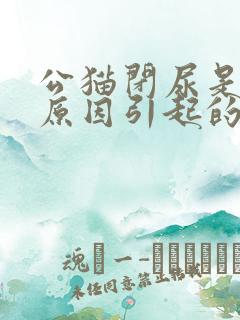 公猫闭尿是什么原因引起的