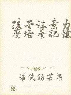 孩子注意力差怎么培养记忆力