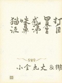 猫咪感冒打喷嚏流鼻涕会自己好吗