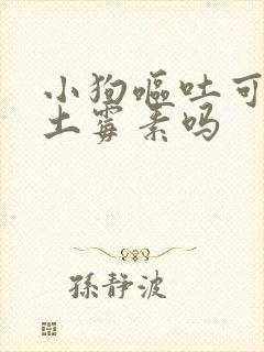 小狗呕吐可以吃土霉素吗