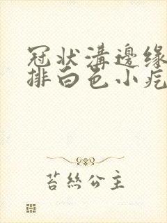 冠状沟边缘长一排白色小疙瘩