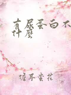 有尿蛋白不能吃什么