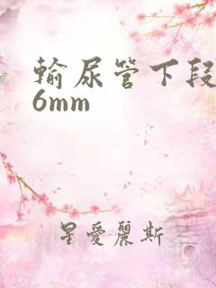 输尿管下段结石6mm